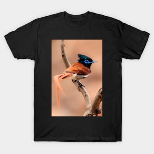 Paradise Flycatcher, South Africa T-Shirt